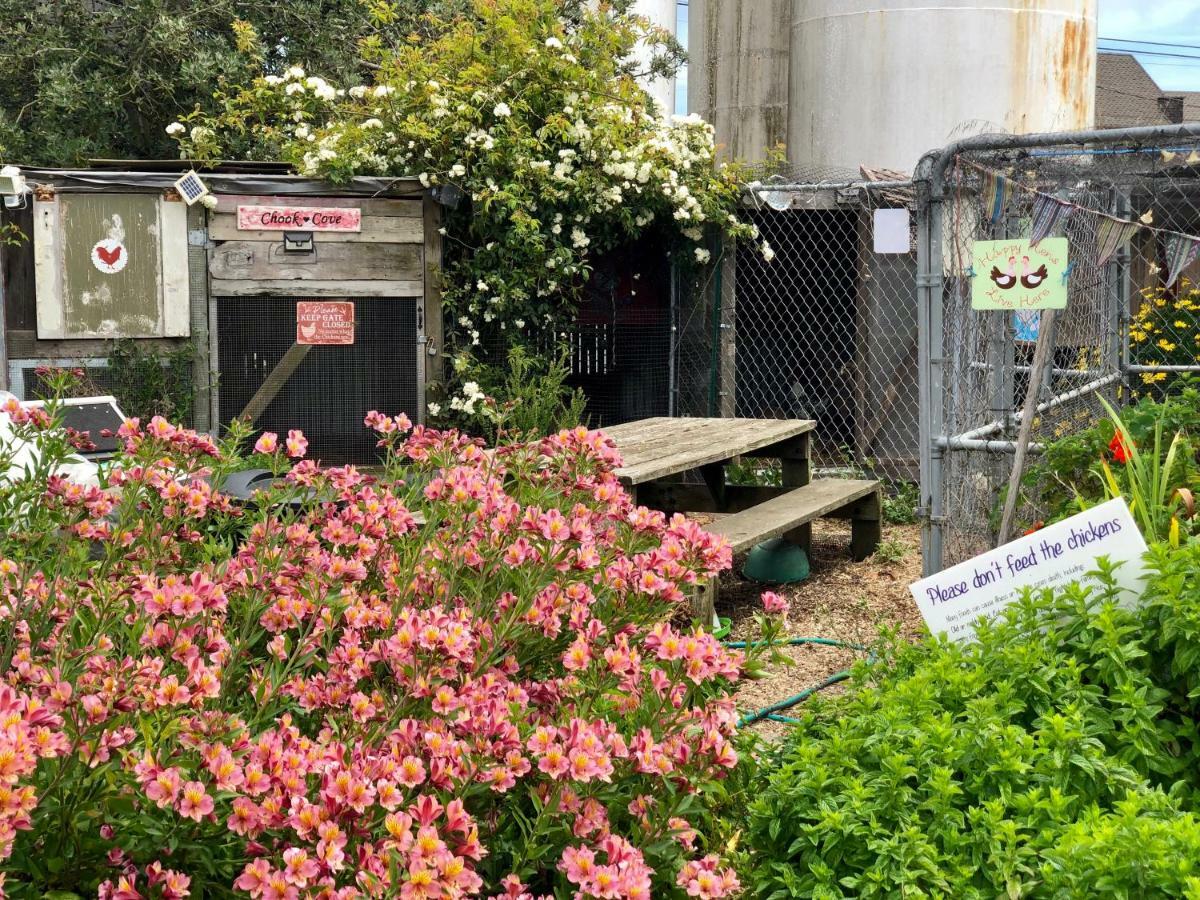 Country Inn Guesthouse Fort Bragg Bagian luar foto